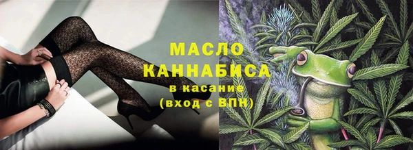 молекула духа Бородино