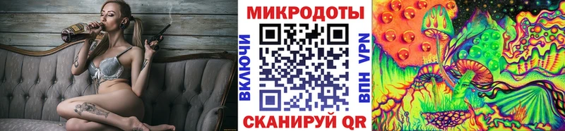 где купить наркотик  Чапаевск  Галлюциногенные грибы MAGIC MUSHROOMS 