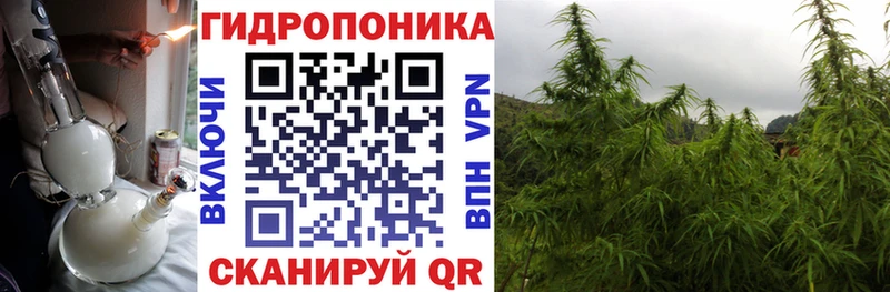 Бошки марихуана план  наркошоп  Чапаевск 